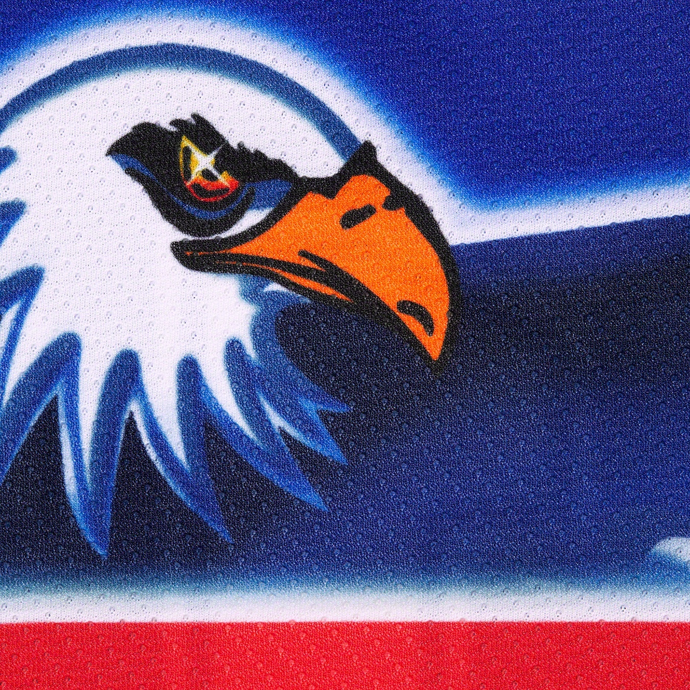 Eagle Hockey Jersey view 4
